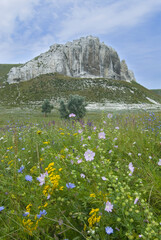 Chalk rocks in Belokuzminovka