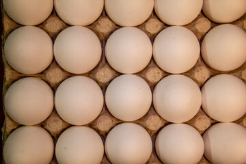 Full package of chicken eggs. Large white chicken eggs in cardboard packaging