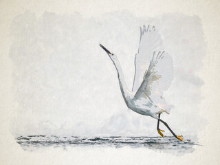 Artwork watercolor landscape picture for interior design