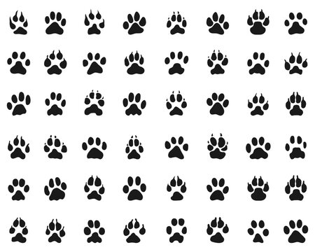 SVG Black print of dogs and cats paws on white background
