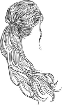 Natural, wow plaited ponytail hairstyle vector illustration	