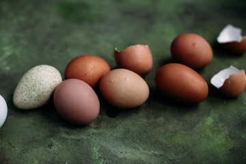 Brown and white chicken eggs on olive background