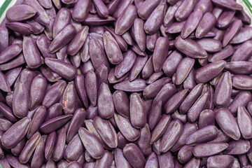 Purple, pesticide-treated sunflower seeds in a Petri dish in the lab