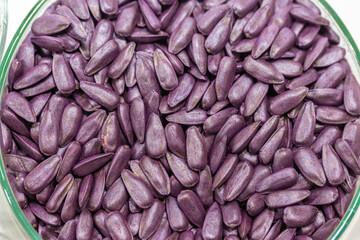 Purple, pesticide-treated sunflower seeds in a Petri dish in the lab