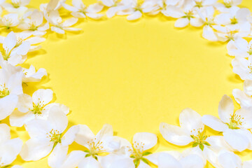 Fototapeta na wymiar Trendy spring yellow Illumination background for spring holidays with round frame of white apple tree flowers. Valentine's Day, Mother's Day, Birthday. Copy space for text. Selective focus.