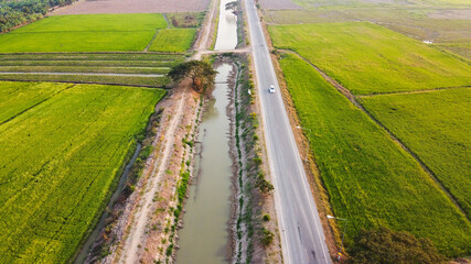 Aerial view of paddy rice field and problems drought in Thailand.