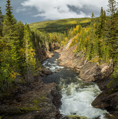 Mountain river Gaula in norwegian autumnal forest.