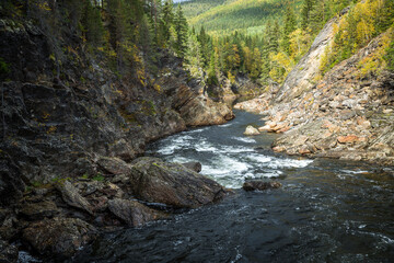 Mountain river Gaula in norwegian autumnal forest.