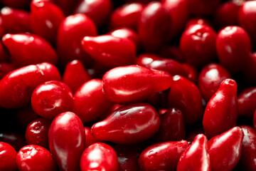 A lot of bright red dogwood fruits. 