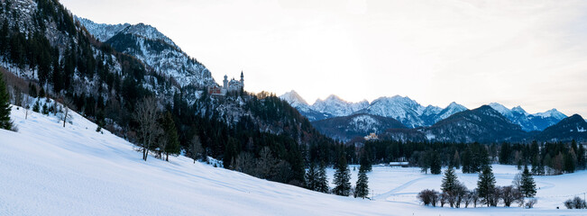 Panoramic mountain view: Castle Neuschwanstein (Hohenschwangau, Germany) during winter - obrazy, fototapety, plakaty