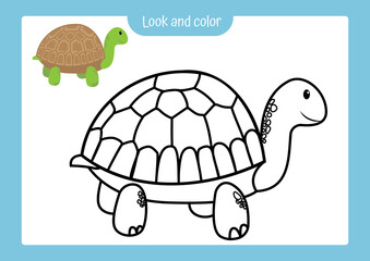Coloring page outline of turtle with colored example. Vector illustration, coloring book for kids preschool activities.