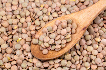 Green lentil on the white background
