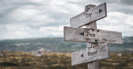 try true trust text engraved on wooden signpost outdoors in nature. Panorama format.