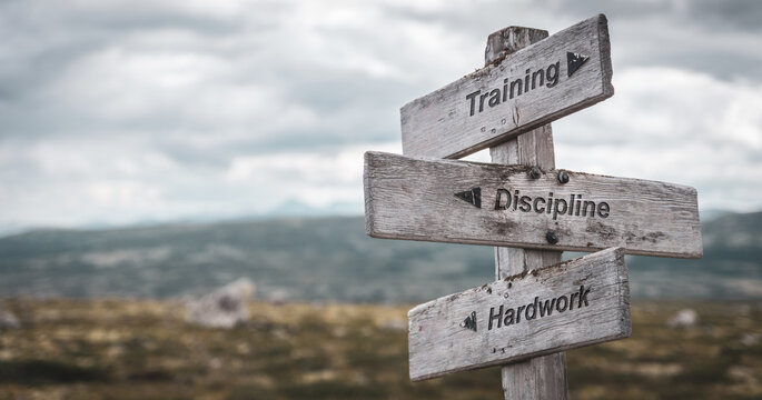 training discipline hardwork text engraved on wooden signpost outdoors in nature. Panorama format.
