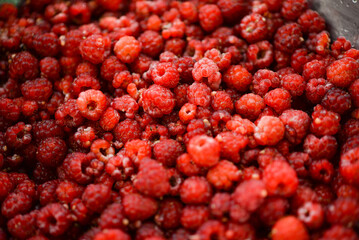 Background of fresh ripe raspberries
