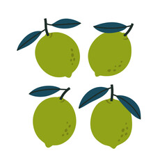 Vector illustration of lime, on a white background. Hand-drawn fruits in bright colors. Suitable for illustrating healthy eating, recipes, local farm. 