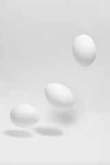 Fototapeta na wymiar white egg on white background