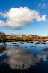 Dune landscape in Bergen aan Zee, Noord-Holland, The Netherlands, Europe