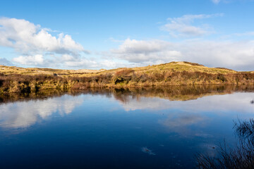 Dune landscape in Bergen aan Zee, Noord-Holland, The Netherlands, Europe