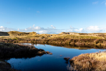 Dune landscape in Bergen aan Zee, Noord-Holland, The Netherlands, Europe
