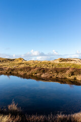 Dune landscape in Bergen aan Zee, Noord-Holland, The Netherlands, Europe