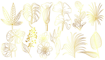 Set of tropical leaves in gold color, isolated on white background. Palm leaves, fan, banana, coconut palm leaves. Vector illustration
