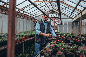 man working in his greenhouse