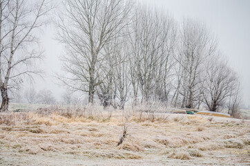 The first snow over the tributary of the Danube near the city of Novi Sad, Serbia 