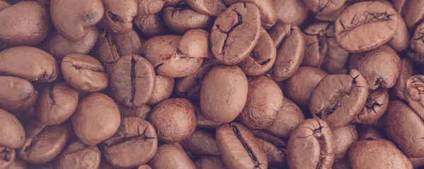 Red coffee beans background under soft electric light.