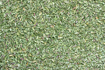 Dried and crushed thyme grass (Thymus). A fragrant plant used in medicine, cooking and cosmetology.