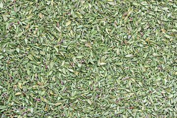 Dried and crushed thyme grass (Thymus). A fragrant plant used in medicine, cooking and cosmetology.