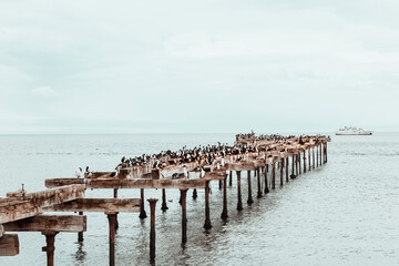 Old Pier. Punta Arenas