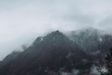 Conguillio Park. South of Chile