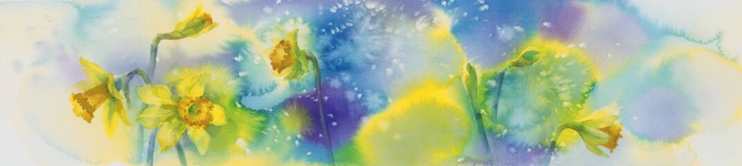 Fototapeta na wymiar Yellow narcissus in blue and violet watercolor background