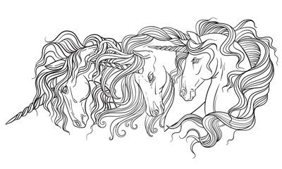 Unicorns heads vector illustration coloring book page