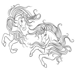 Two beauty unicorn vector illustration coloring book page