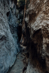 Los Ports Mountains natural park
