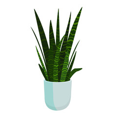 Vector green flower in a blue pot isolated on a white background. A snake plant in a pot. Home plants. Perfect for postcards, stickers, home flower illustrations, and home decor.