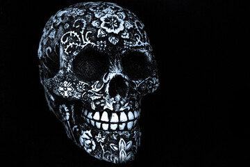 False bone skull on black background