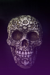 False bone skull on black background