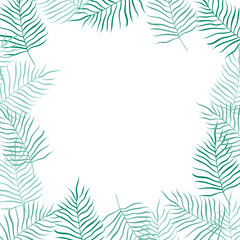 Fototapeta na wymiar Tropical palm leaves with space inside for your text or image