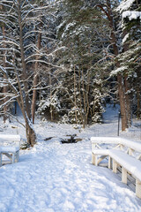 View of The Dagmar spring area in winter, Kallviken, Raseborg, Finland