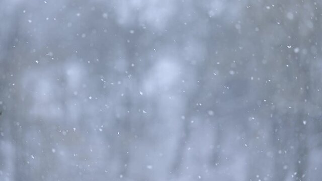 Natural phenomenon in winter, snow and wind blowing, view from the window in the house in the village, slow motion of snowflakes, slow motion video.new