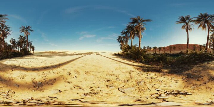 VR360 view of palm oasis in desert
