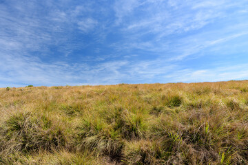 Beautiful landscape meadow from World's End within the Horton Plains National Park in Sri Lanka.