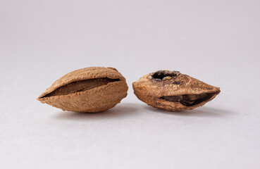 Rotten spoiled almonds next to good almonds. The difference between a rotten and a good nut. Two nuts on a white background.