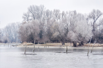 The first snow over the tributary of the Danube near the city of Novi Sad, Serbia 