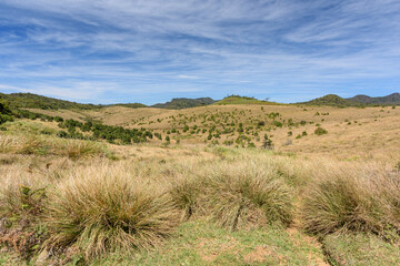 Beautiful landscape meadow from World's End within the Horton Plains National Park in Sri Lanka.