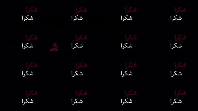 Thank you in arabic text transition with alpha channel