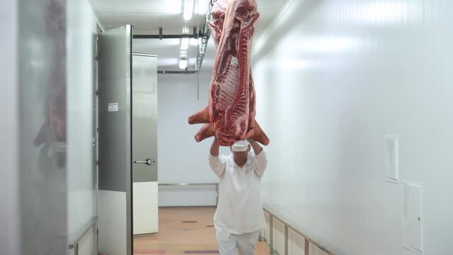 Meat production and food industry, worker moves a suspended pig carcass, meat processing plant.